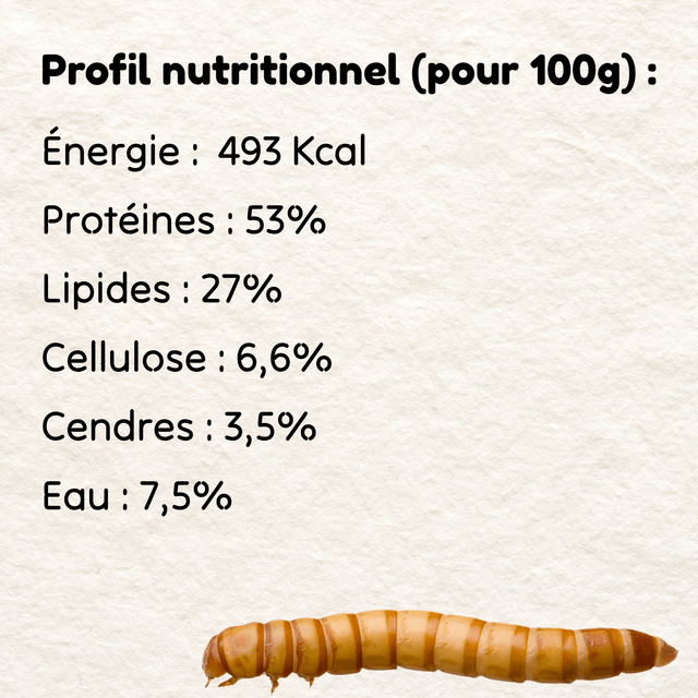1kg vers de farine déshydratés (+ le seau pour les conserver)