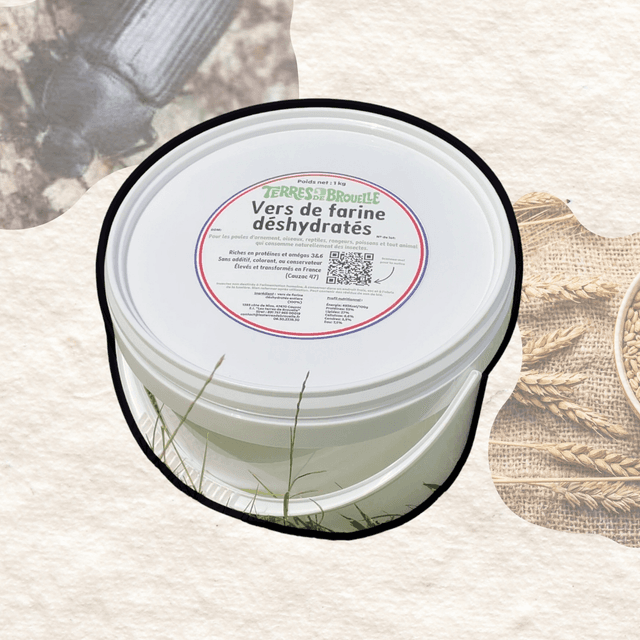 1kg vers de farine déshydratés (+ le seau pour les conserver)